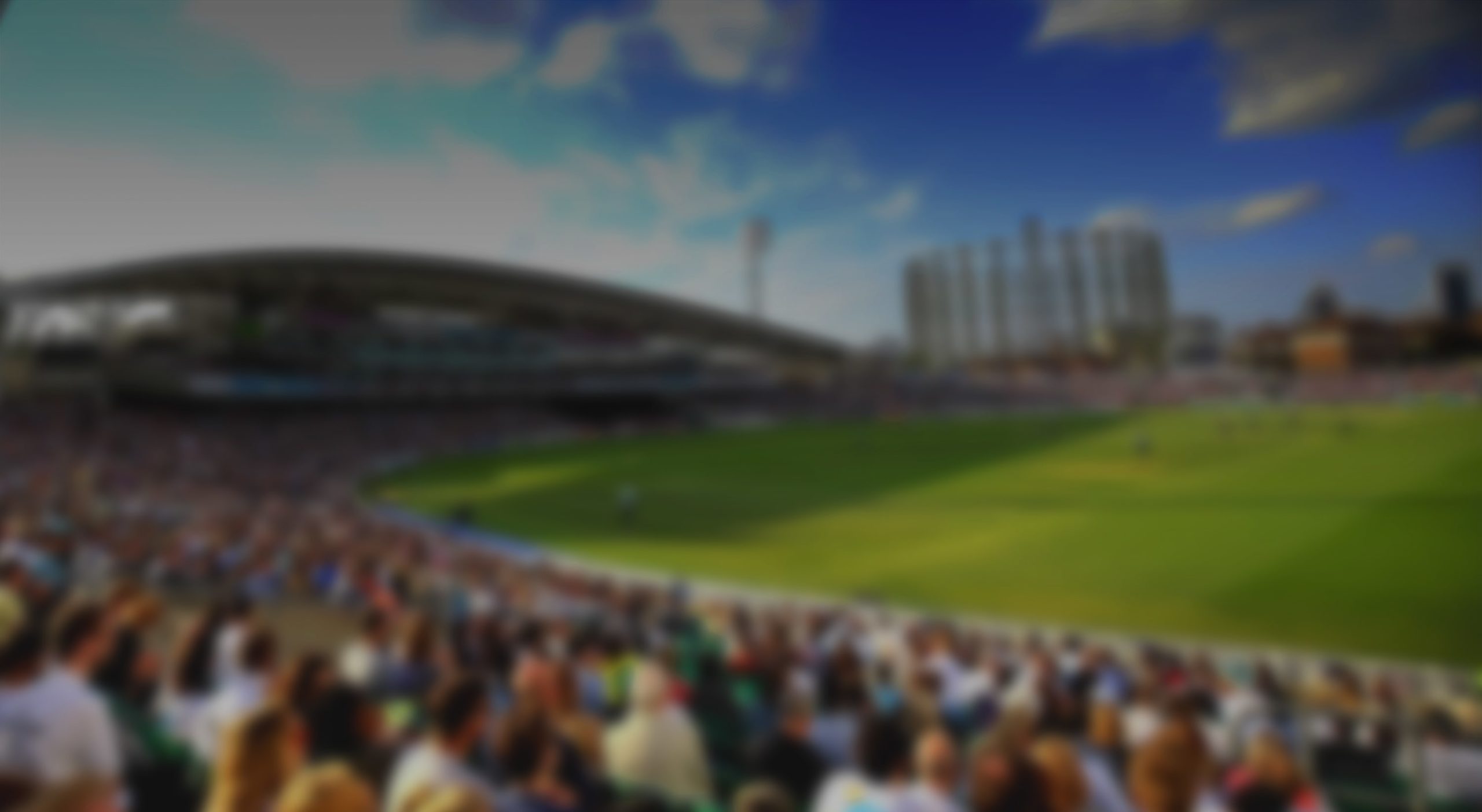 One Day Cup campaign ends in defeat