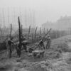 "Troops removing barbed wire fences from Kennington Oval. The ground had been prepared for use as a POW enclosure but was never used as such, although searchlights were stationed there", London, United Kingdom, 21st April 1945. (Central Press/Getty Images)