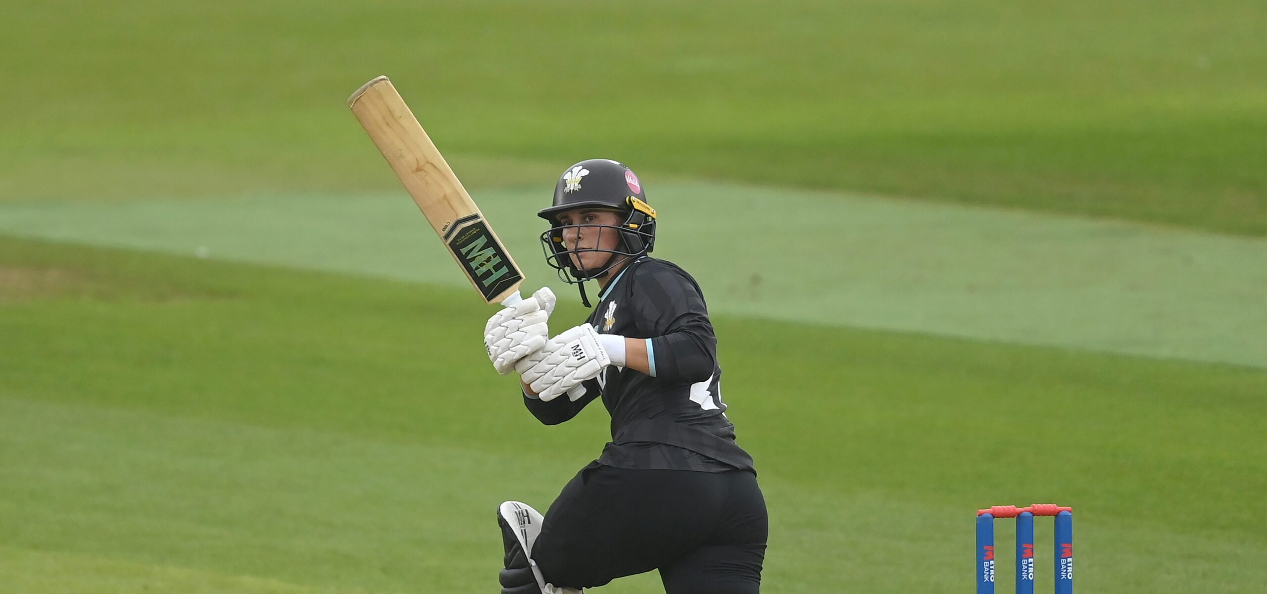 Surrey fall short in semi-final against Hampshire