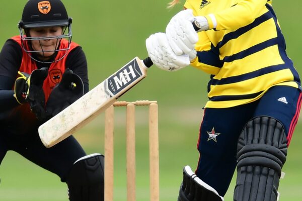 Artboard 4 Artboard 4