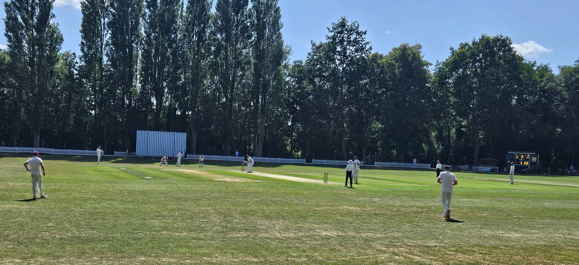 M Zaidi & Co Surrey Cricket Championship 2026 – week 9